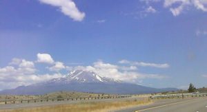 Mt Shasta 