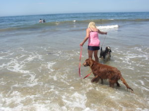 Santa Barbara Beach